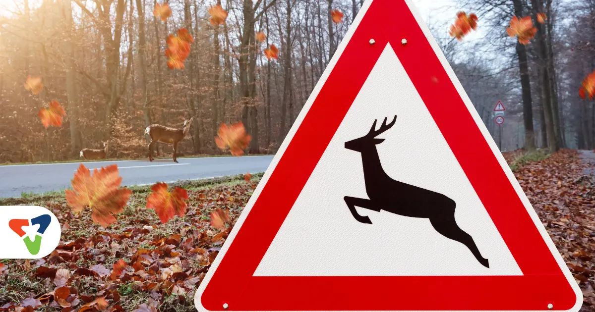 Chauffeurs de camions: redoublez de vigilance cet automne sur les routes!